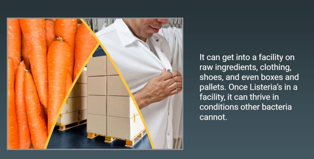 screen shot of listeria training course showing carrots, pallets, and a person buttoning their work shirt.